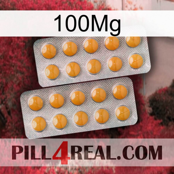 100Mg levitra2.jpg